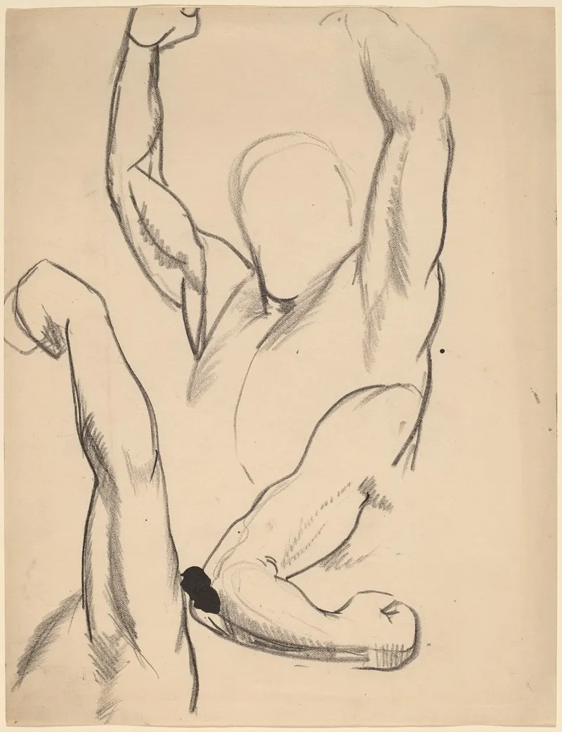 Arms Of A Boxer