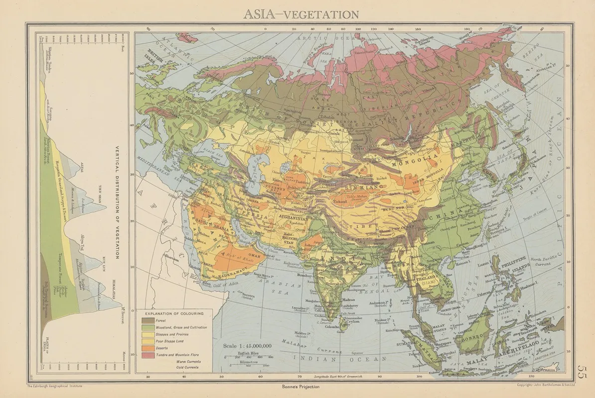 Asia Vegetation Wall Art by John George Bartholomew - High-Resolution Digital Print