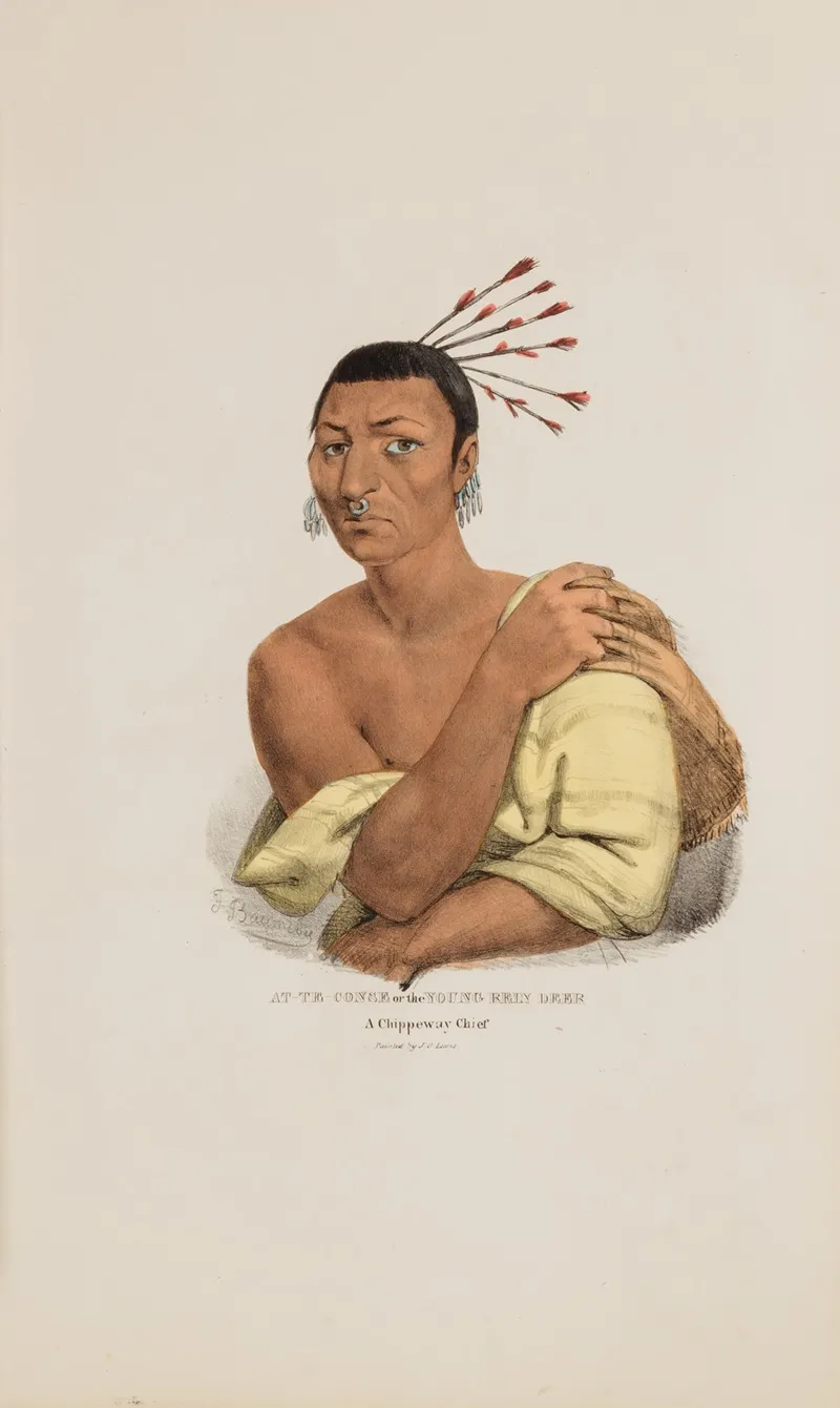 At Te Conse Or The Young Rein Deer A Chippeway Chief