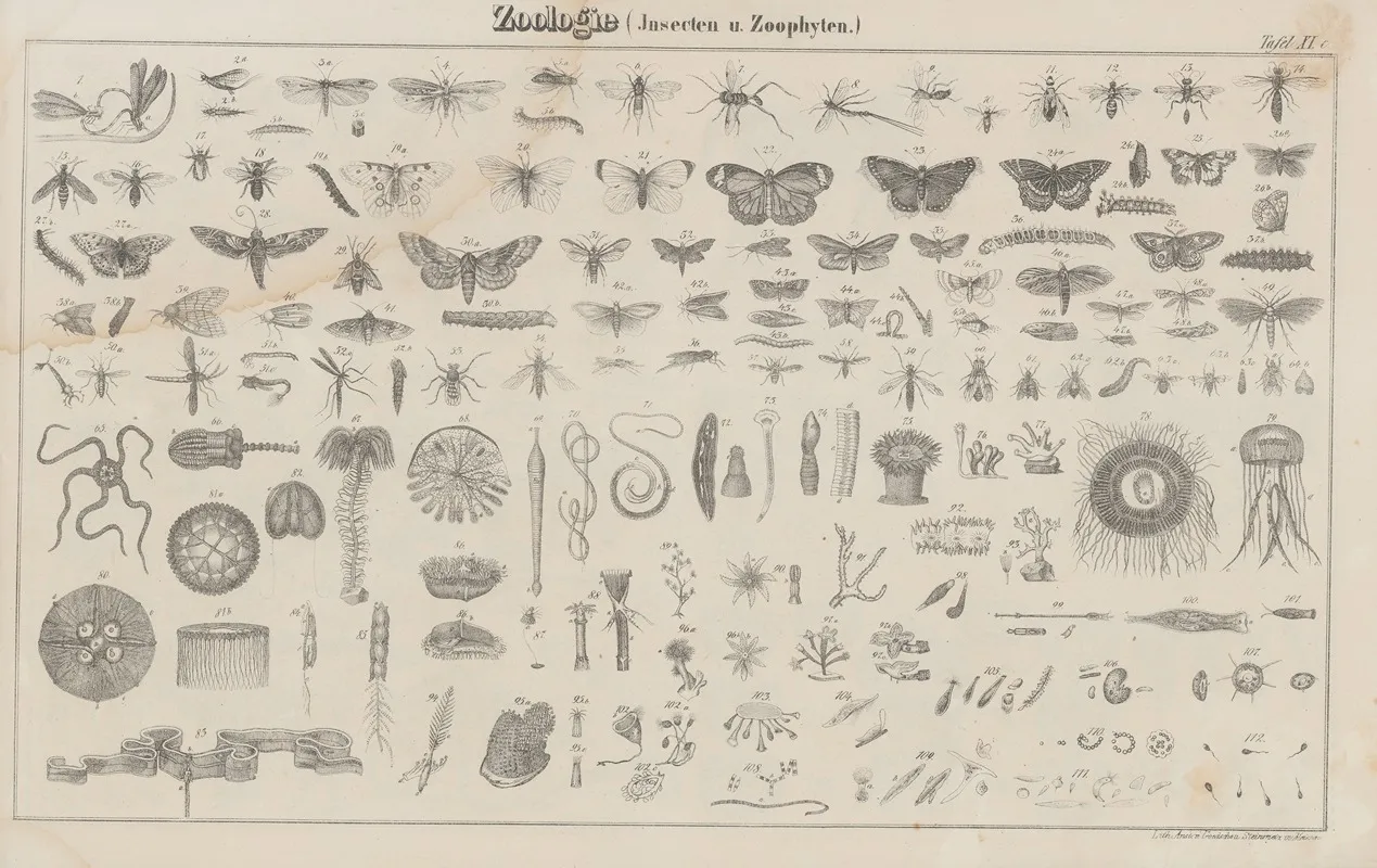 Atlas Der Abbildungen Pierers Universal Lexikon Pl 18 Wall Art by Heinrich August Pierer - High-Resolution Digital Print