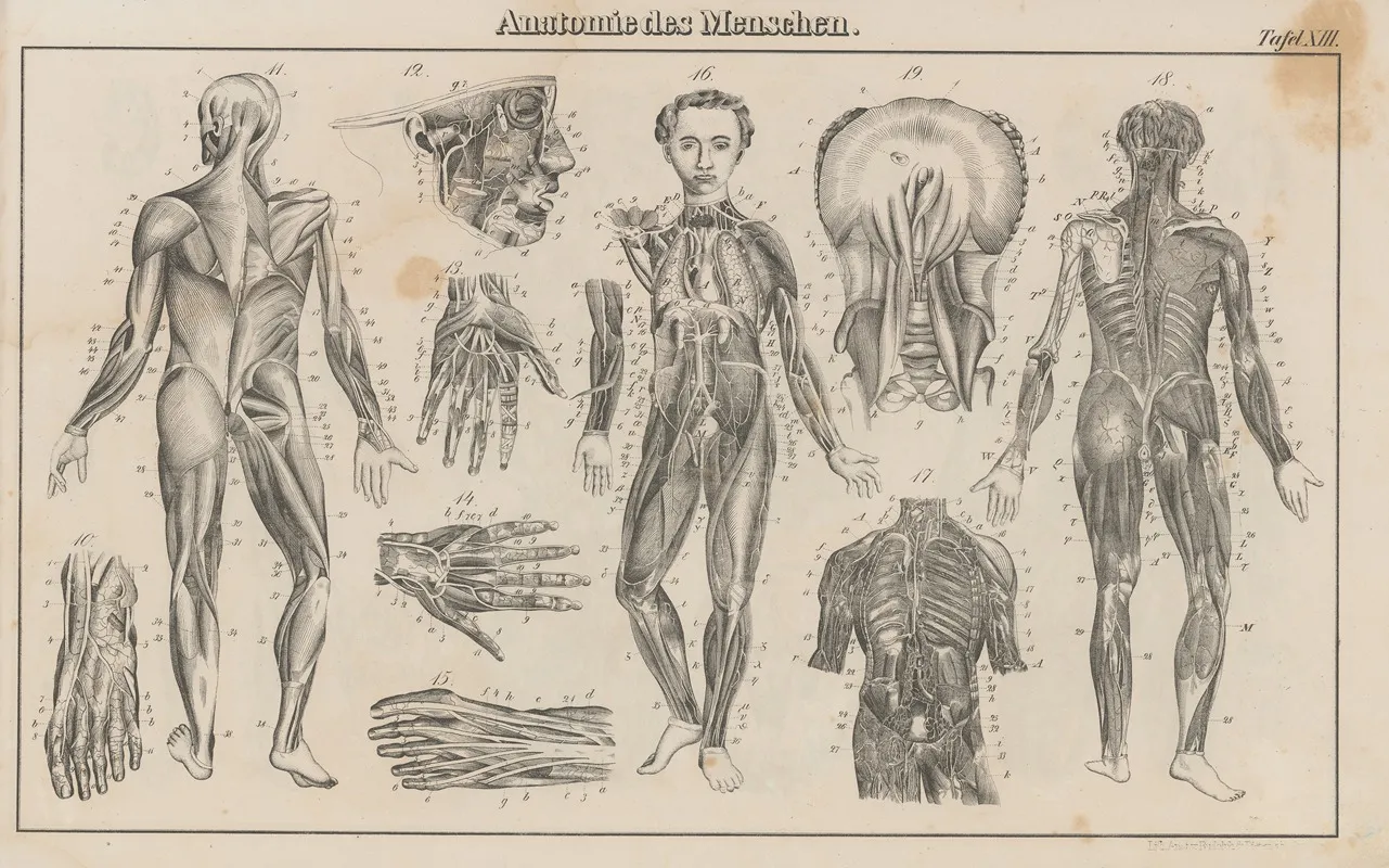 Atlas Der Abbildungen Pierers Universal Lexikon Pl 22 Wall Art by Heinrich August Pierer - High-Resolution Digital Print