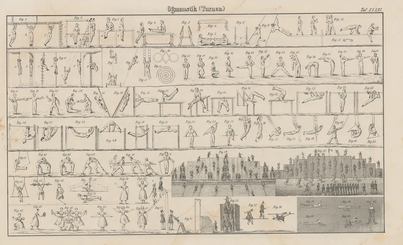 Atlas Der Abbildungen Pierers Universal Lexikon Pl 55 Wall Art by Heinrich August Pierer - High-Resolution Digital Print