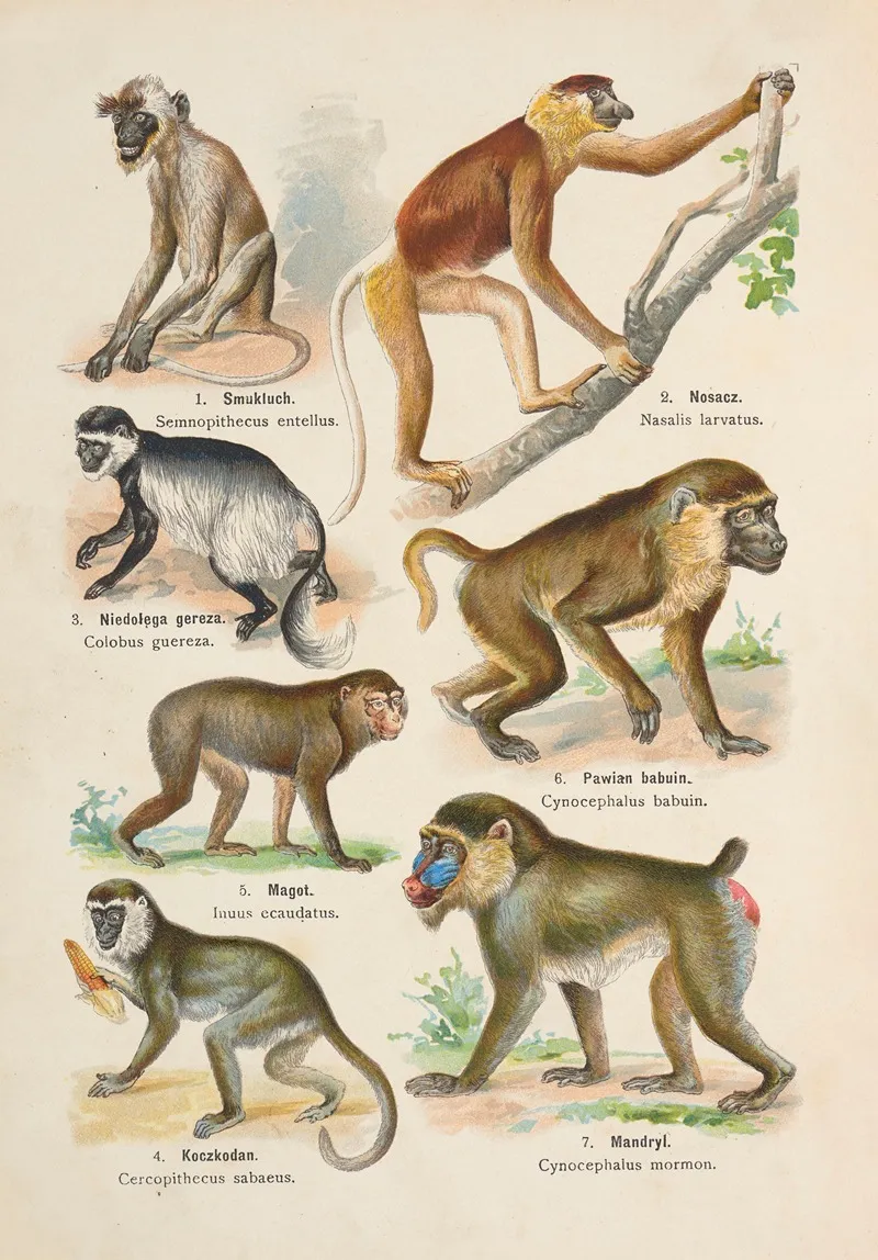 Atlas Panstwa Zwierzecego Pl 02 Wall Art by Kurt Lampert - High-Resolution Digital Print