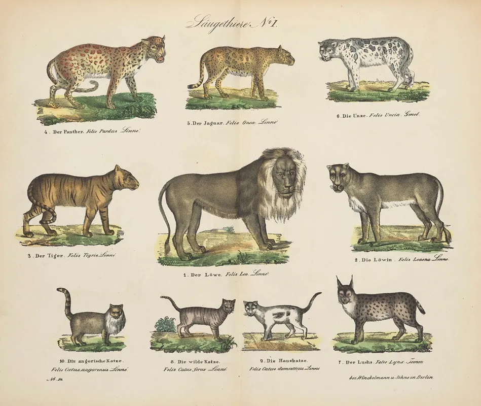 Atlas Zoologiczny W 45 Tablicach Pl 01 Wall Art by D. E. Friedlein - High-Resolution Digital Print