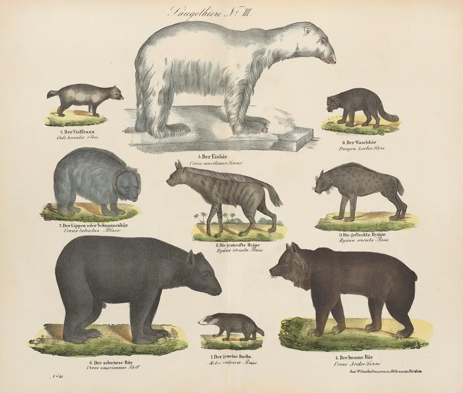 Atlas Zoologiczny W 45 Tablicach Pl 03 Wall Art by D. E. Friedlein - High-Resolution Digital Print
