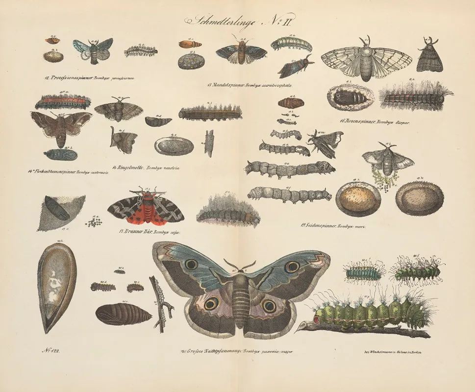 Atlas Zoologiczny W 45 Tablicach Pl 42 Wall Art by D. E. Friedlein - High-Resolution Digital Print