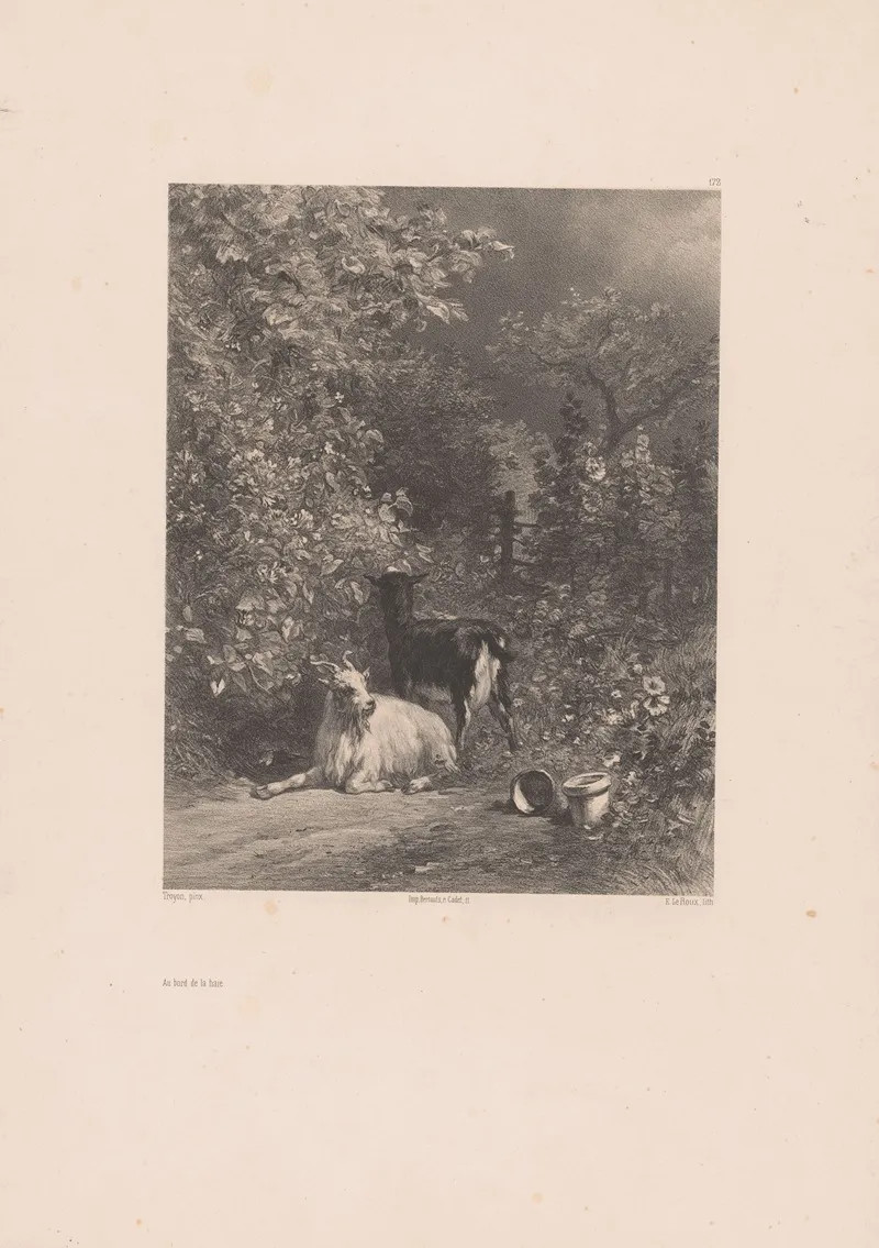 Au Bord De La Haie