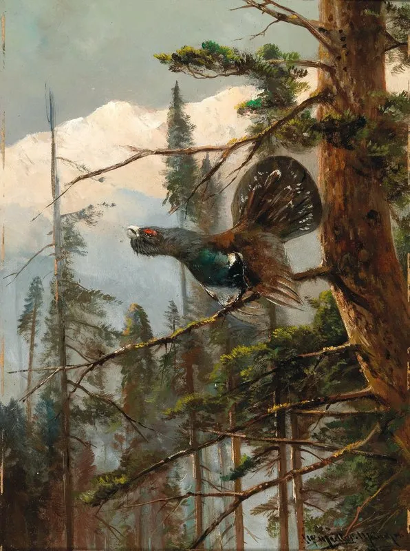 Auerhahn 2