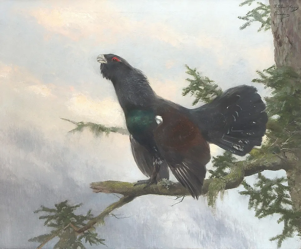 Auerhahn 3 Wall Art by Josef Schmitzberger - High-Resolution Digital Print