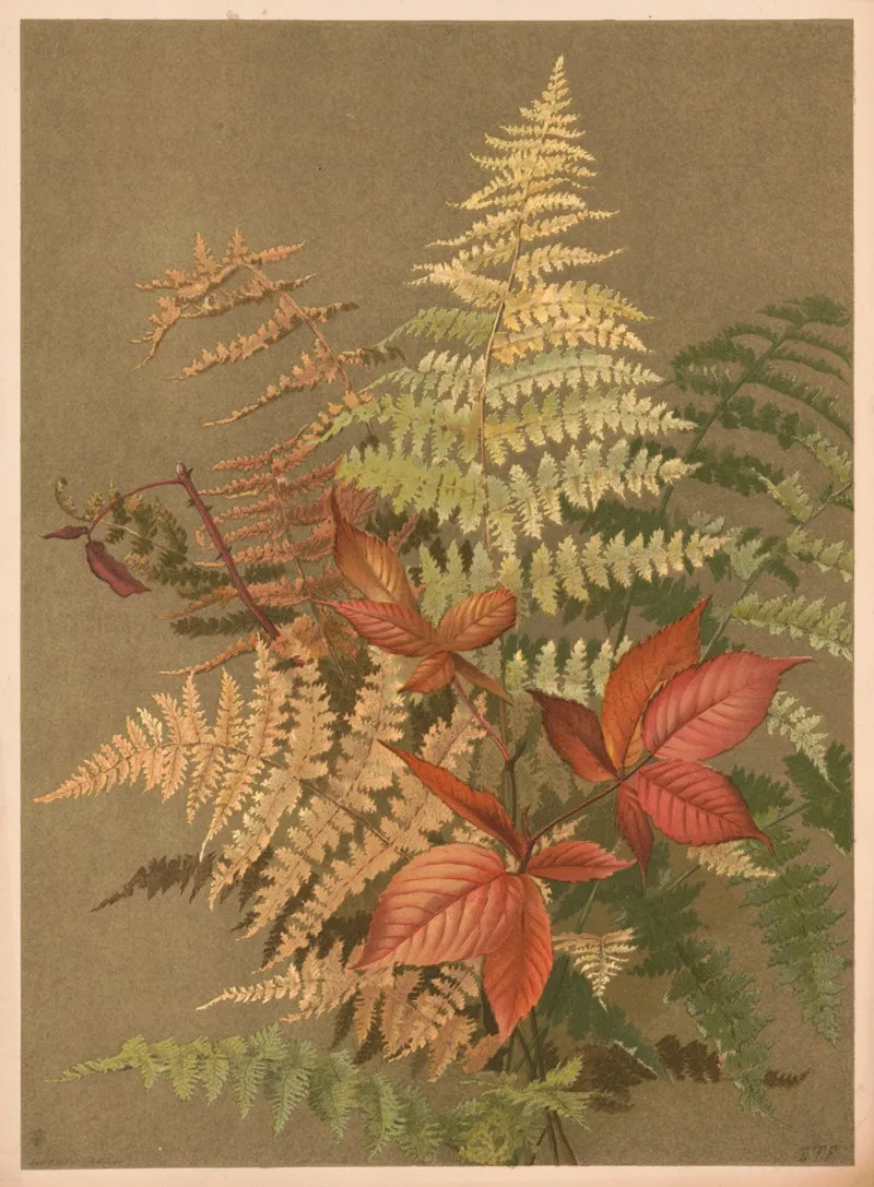 Autumn Ferns 2 Wall Art by Ellen Fisher - High-Resolution Digital Print