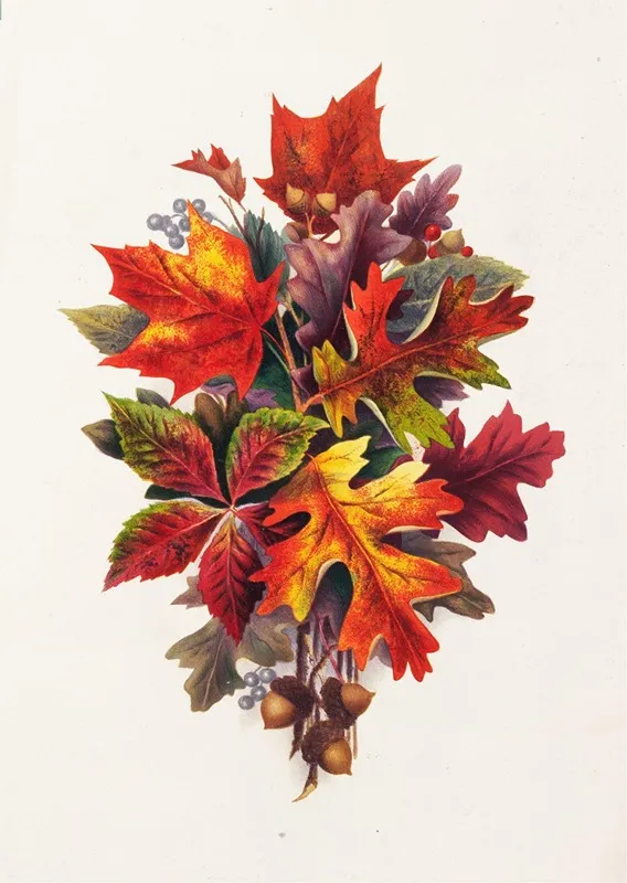 Autumn Leaves 2