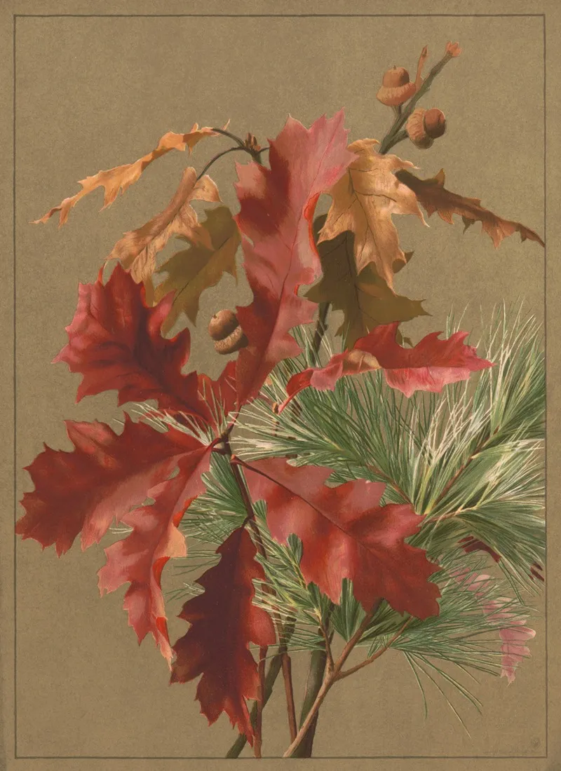 Autumn Leaves No 1 Wall Art by Ellen Fisher - High-Resolution Digital Print