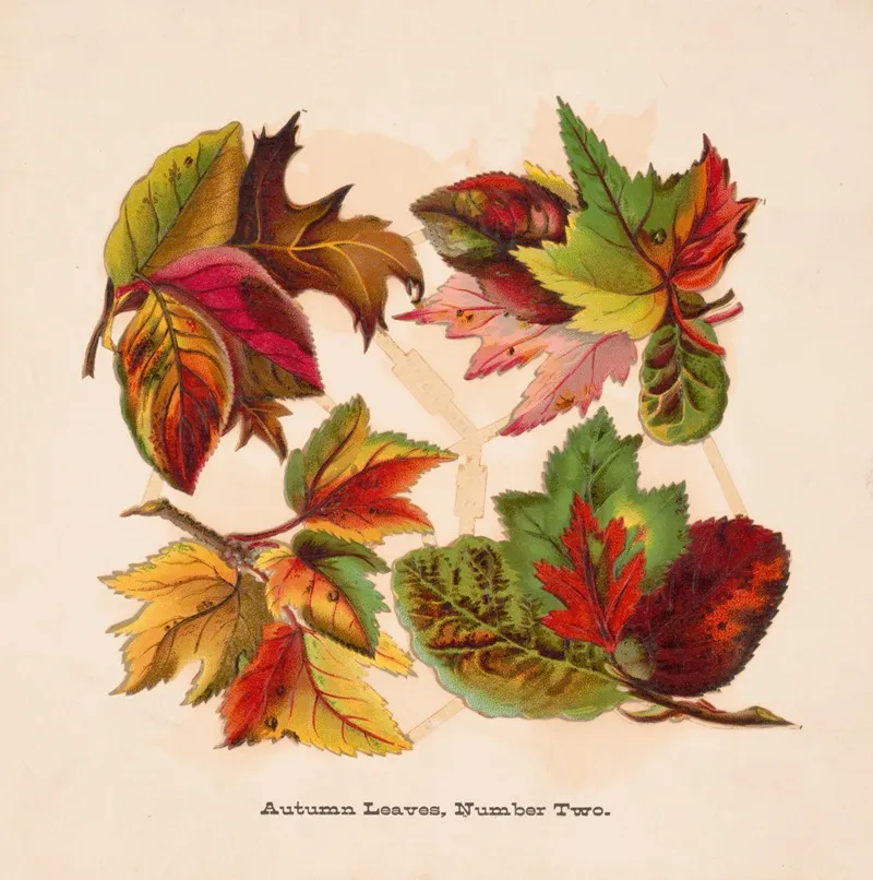 Autumn Leaves No Two