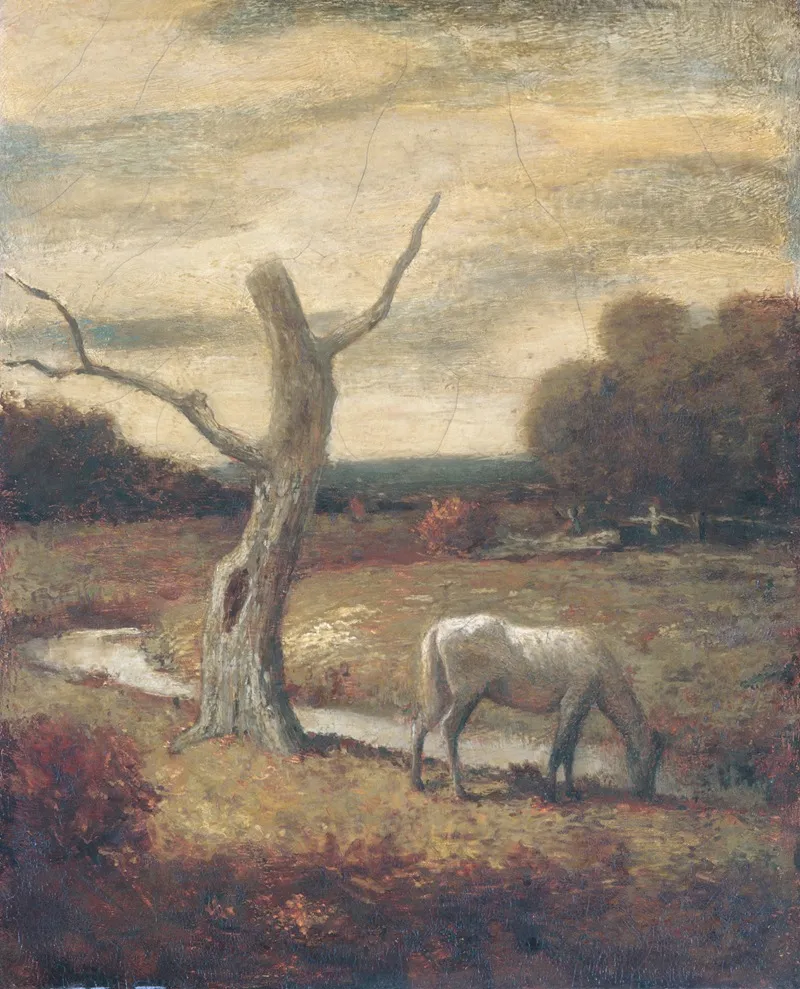 Autumn Meadows 2