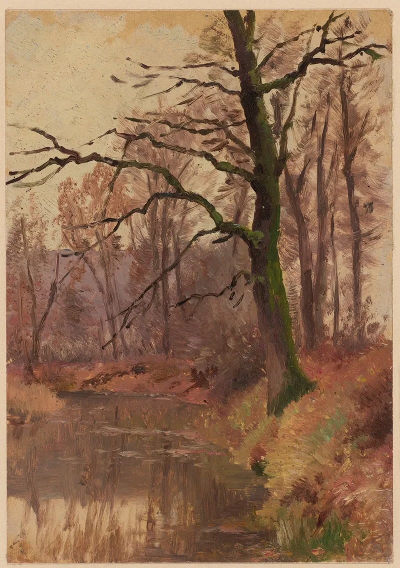 Autumn Trees Near A Pond