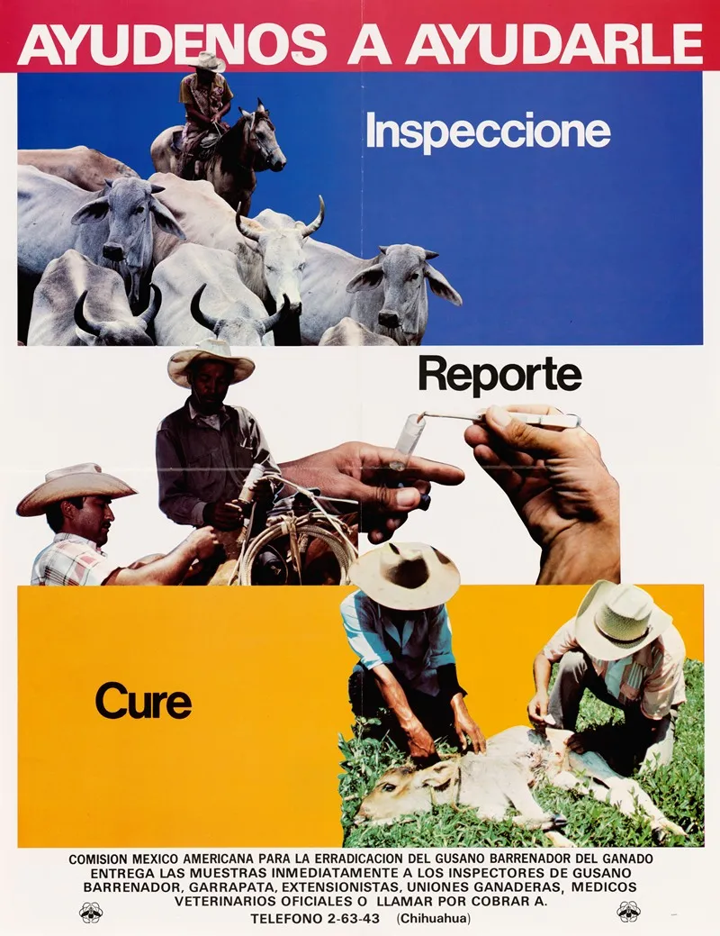 Ayudenos A Ayudarle Inspeccione Reporte Cure