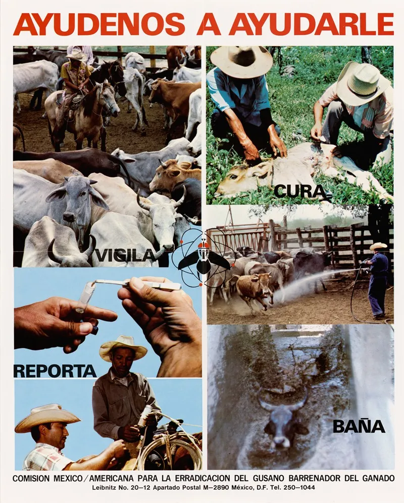 Ayudenos A Ayudarle