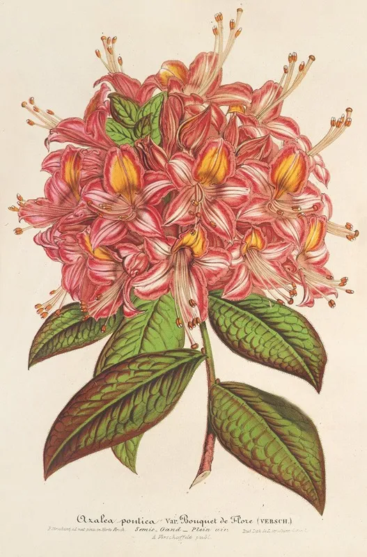 Azalea Bouquet De Flore Hort Versch Wall Art by Charles Antoine Lemaire - High-Resolution Digital Print