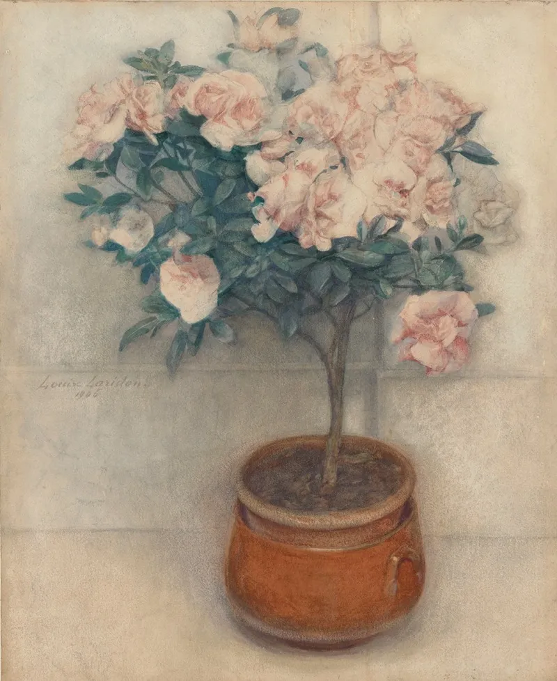 Azaleas 3 Wall Art by Louise Laridon - High-Resolution Digital Print