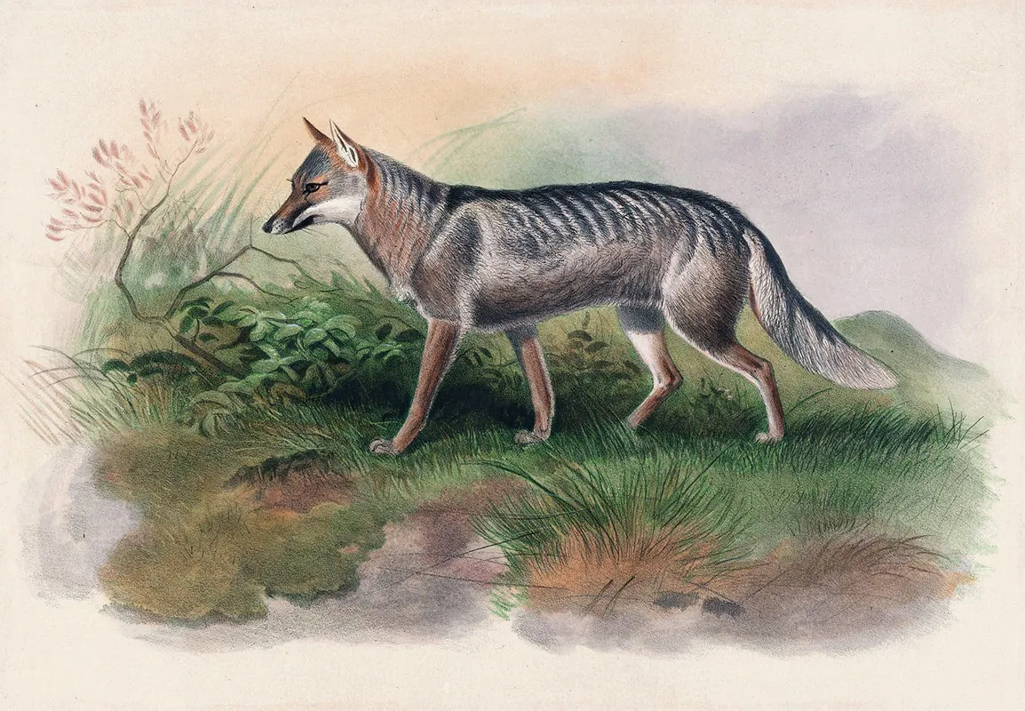 Azaras Fox Wall Art by Joseph Wolf - High-Resolution Digital Print
