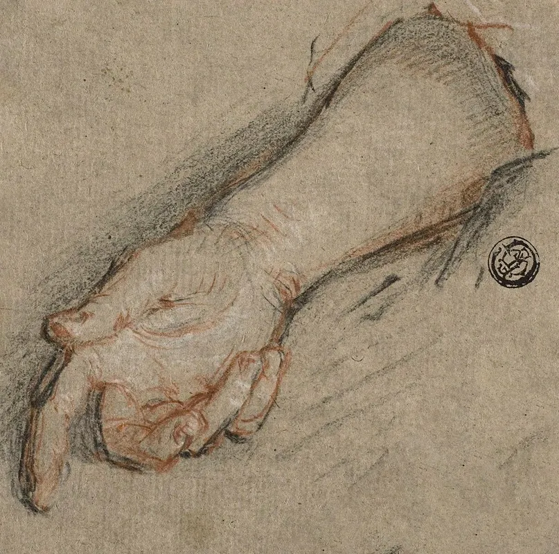 Back Of Hand And Forearm
