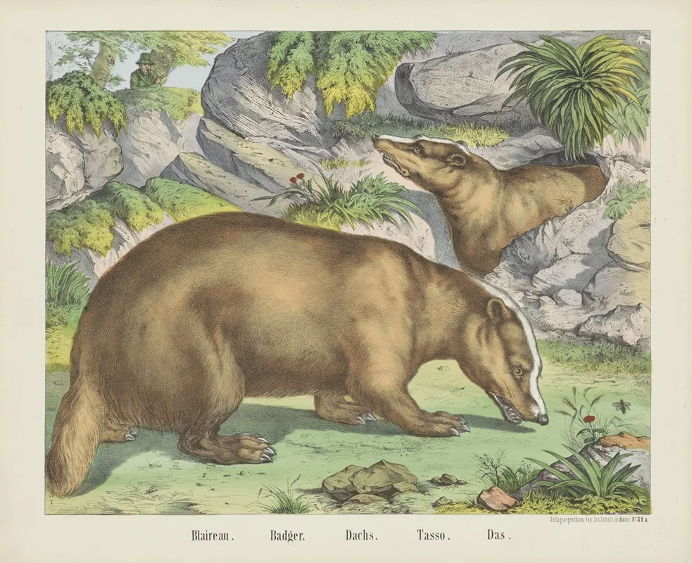 Badger 3 Wall Art by Joseph Scholz - High-Resolution Digital Print