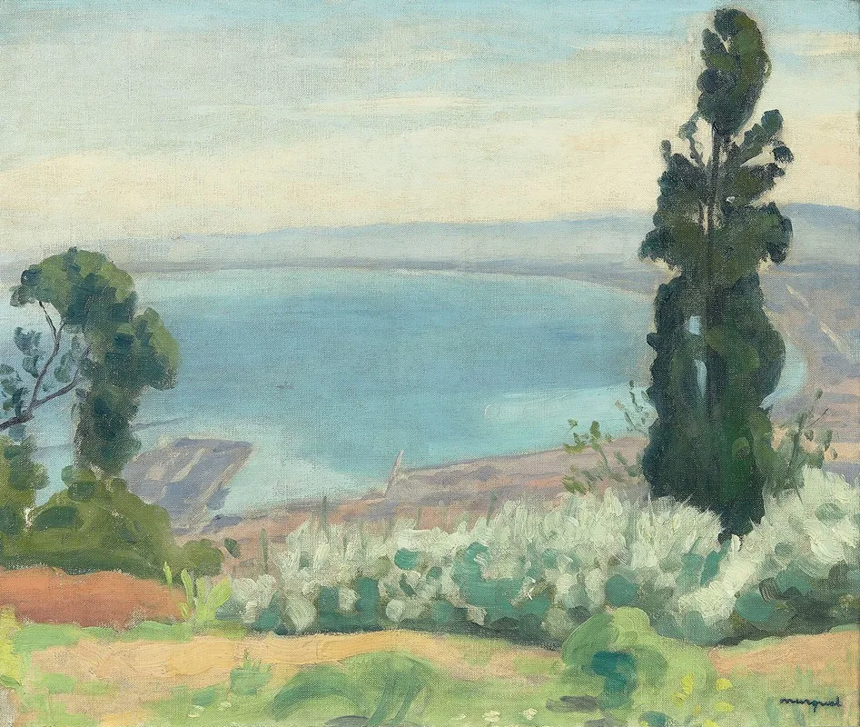 Baie Dalger Vue Del Biar