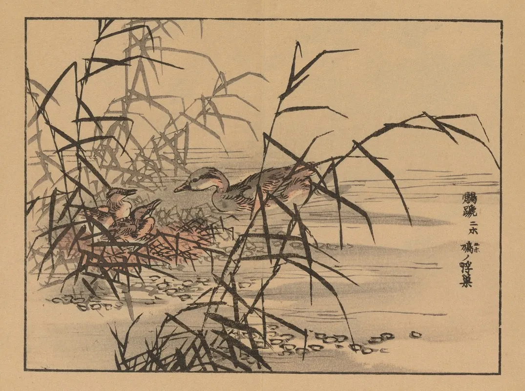 Bairei Gafu Pl 14 Wall Art by Kōno Bairei - High-Resolution Digital Print