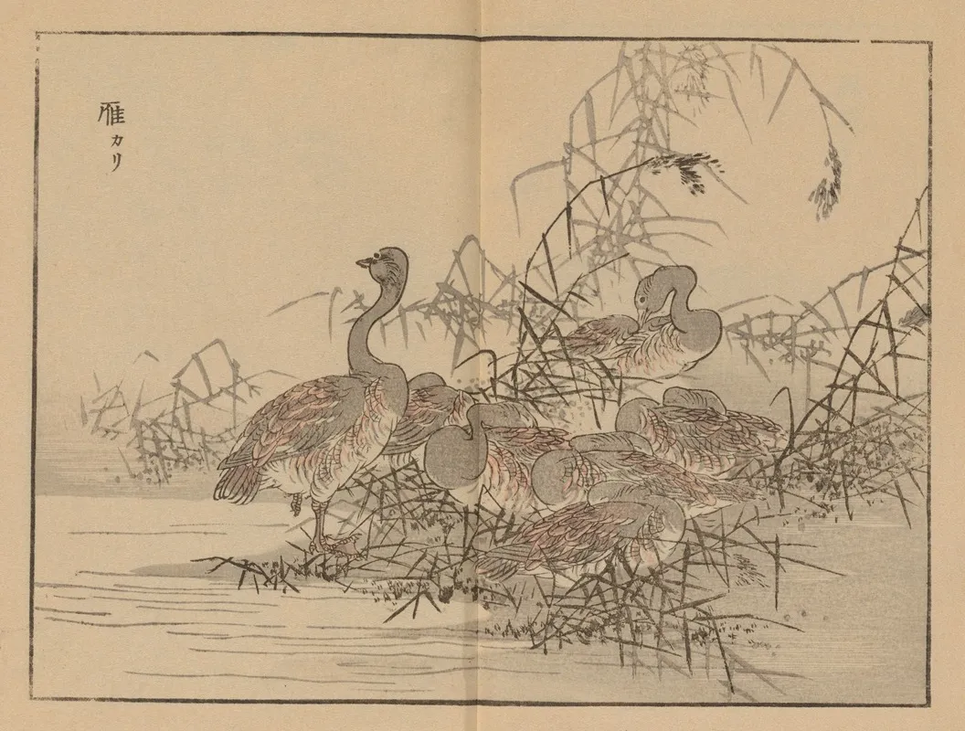 Bairei Gafu Pl 43 Wall Art by Kōno Bairei - High-Resolution Digital Print