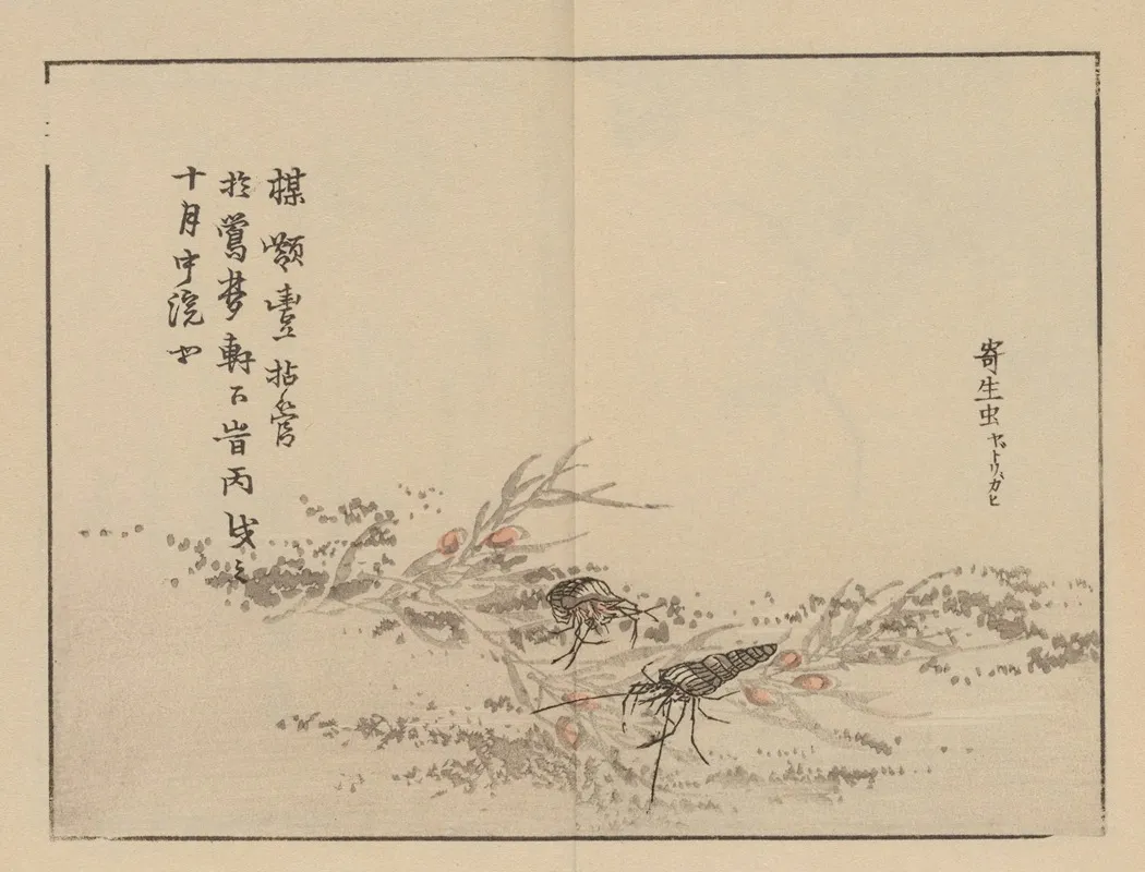Bairei Gafu Pl 75 Wall Art by Kōno Bairei - High-Resolution Digital Print