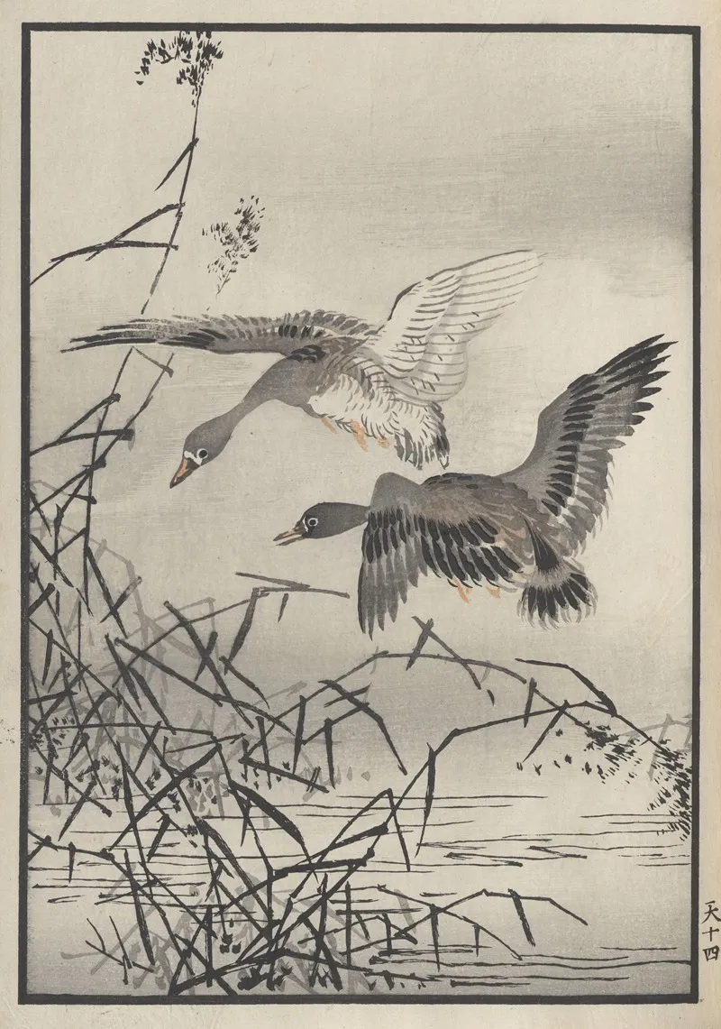 Bairei Hyakucho Gafu Ten Pl 27 Wall Art by Kōno Bairei - High-Resolution Digital Print