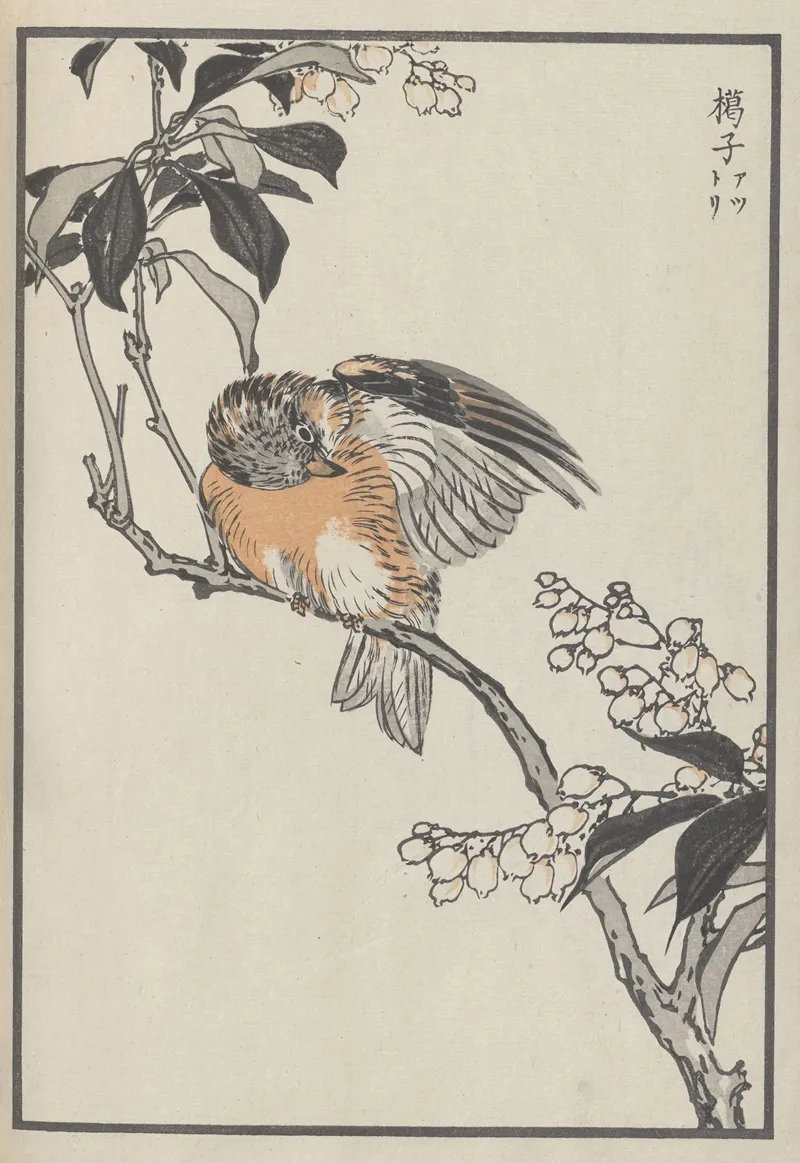 Bairei Hyakucho Gafu Ten Pl 30 Wall Art by Kōno Bairei - High-Resolution Digital Print