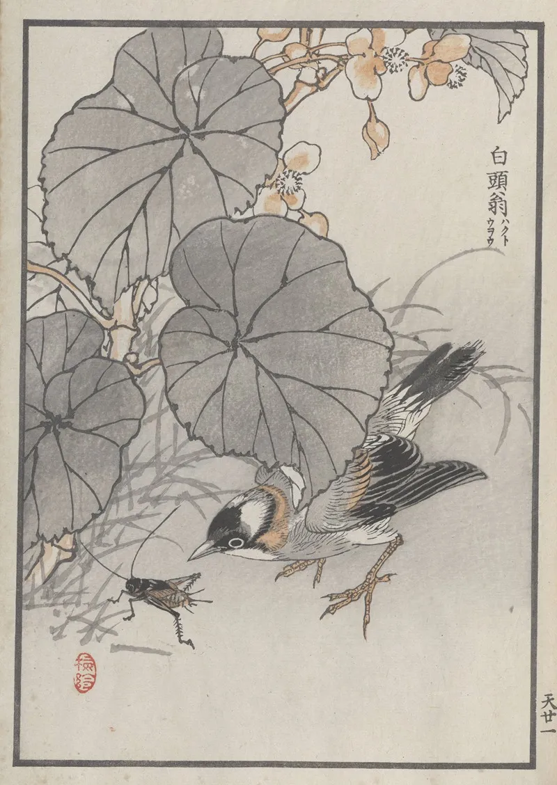 Bairei Hyakucho Gafu Ten Pl 41 Wall Art by Kōno Bairei - High-Resolution Digital Print