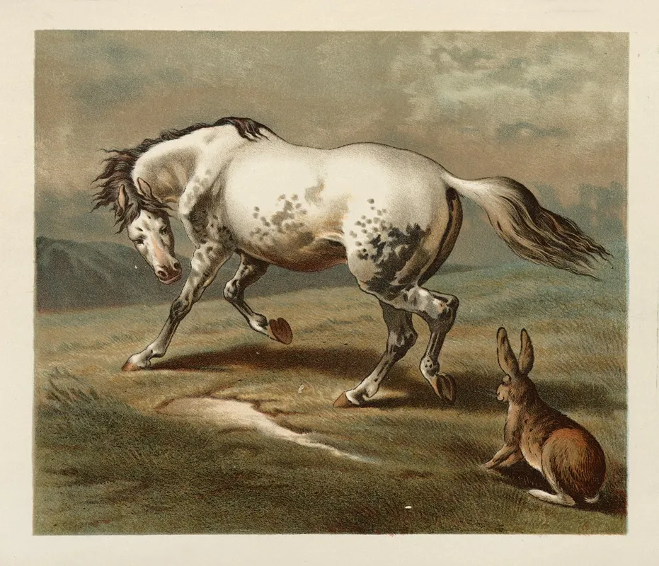 Ballad Of The Lost Hare Pl 05 Wall Art by Margaret Sidney - High-Resolution Digital Print