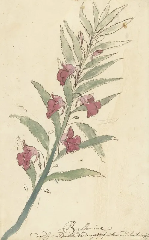 Balsemien