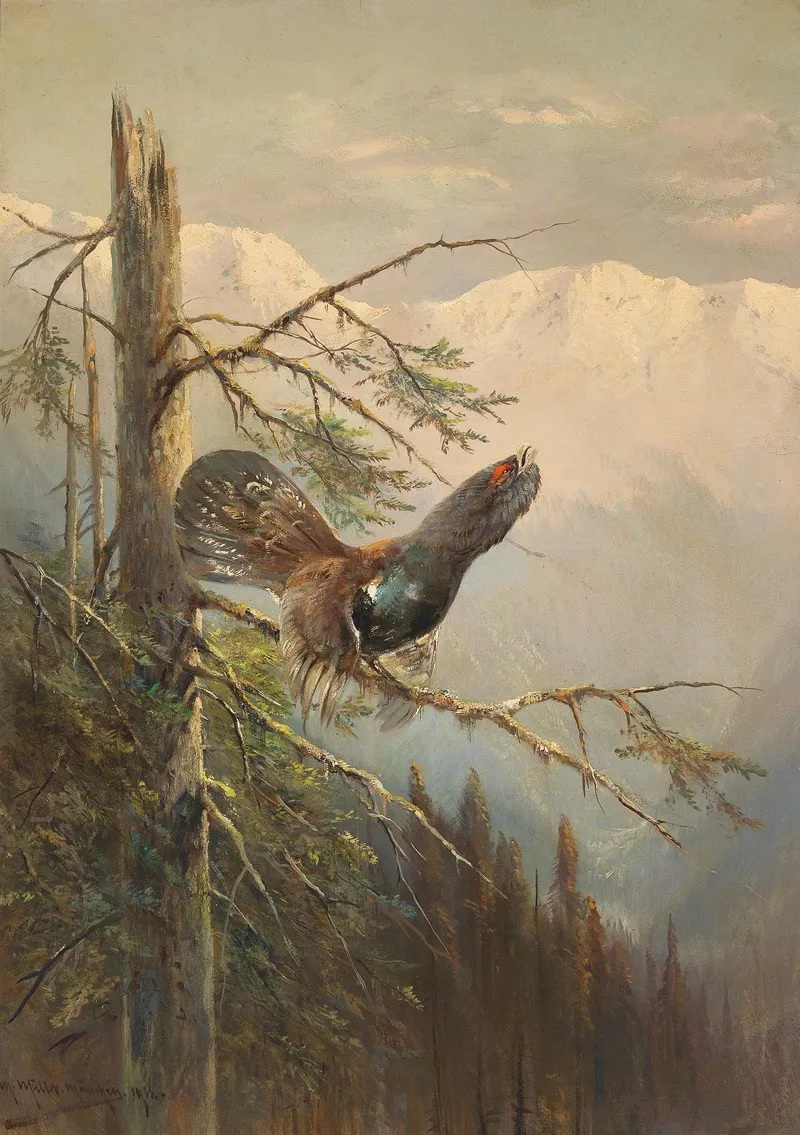 Balzender Auerhahn