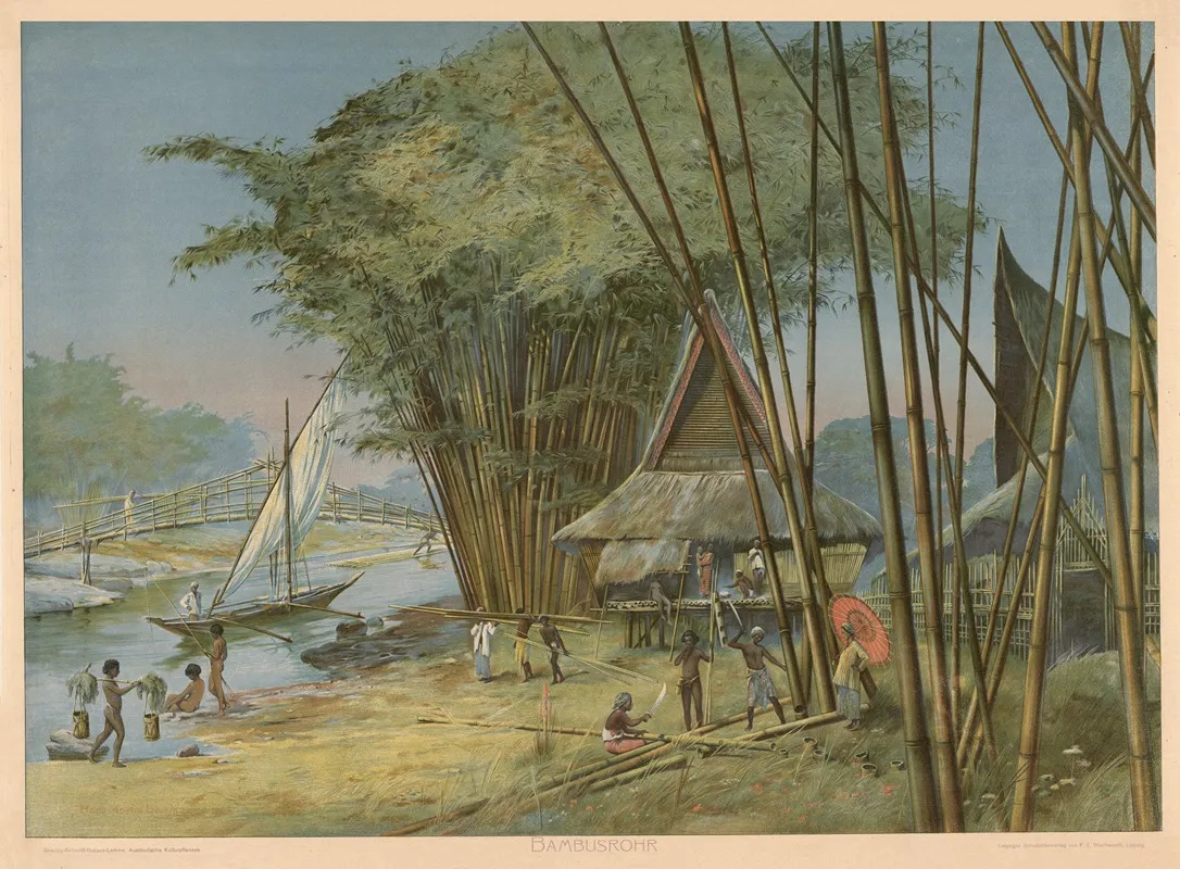 Bambusrohr Wall Art by Hans Martin Lemme - High-Resolution Digital Print