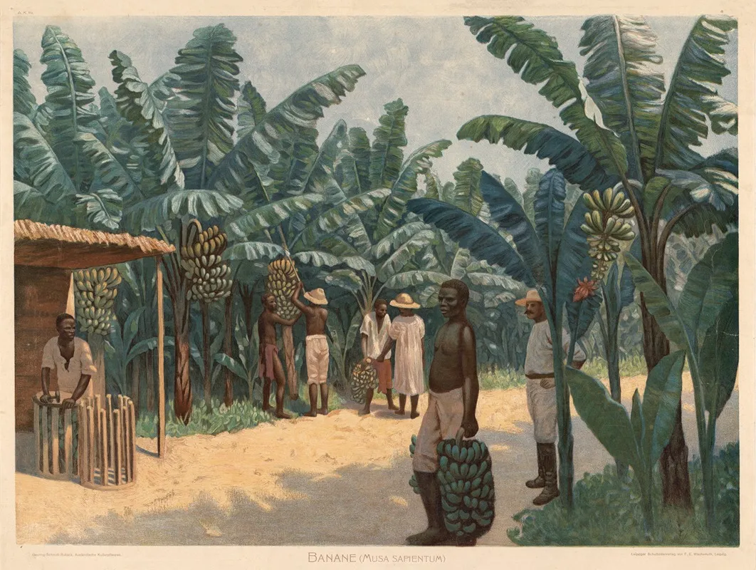Banane Musa Sapientum Wall Art by Goering-Schmidt - High-Resolution Digital Print