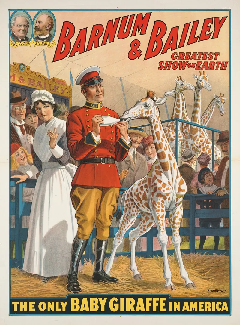 Barnum Bailey Greatest Show On Earth The Only Baby Giraffe In America
