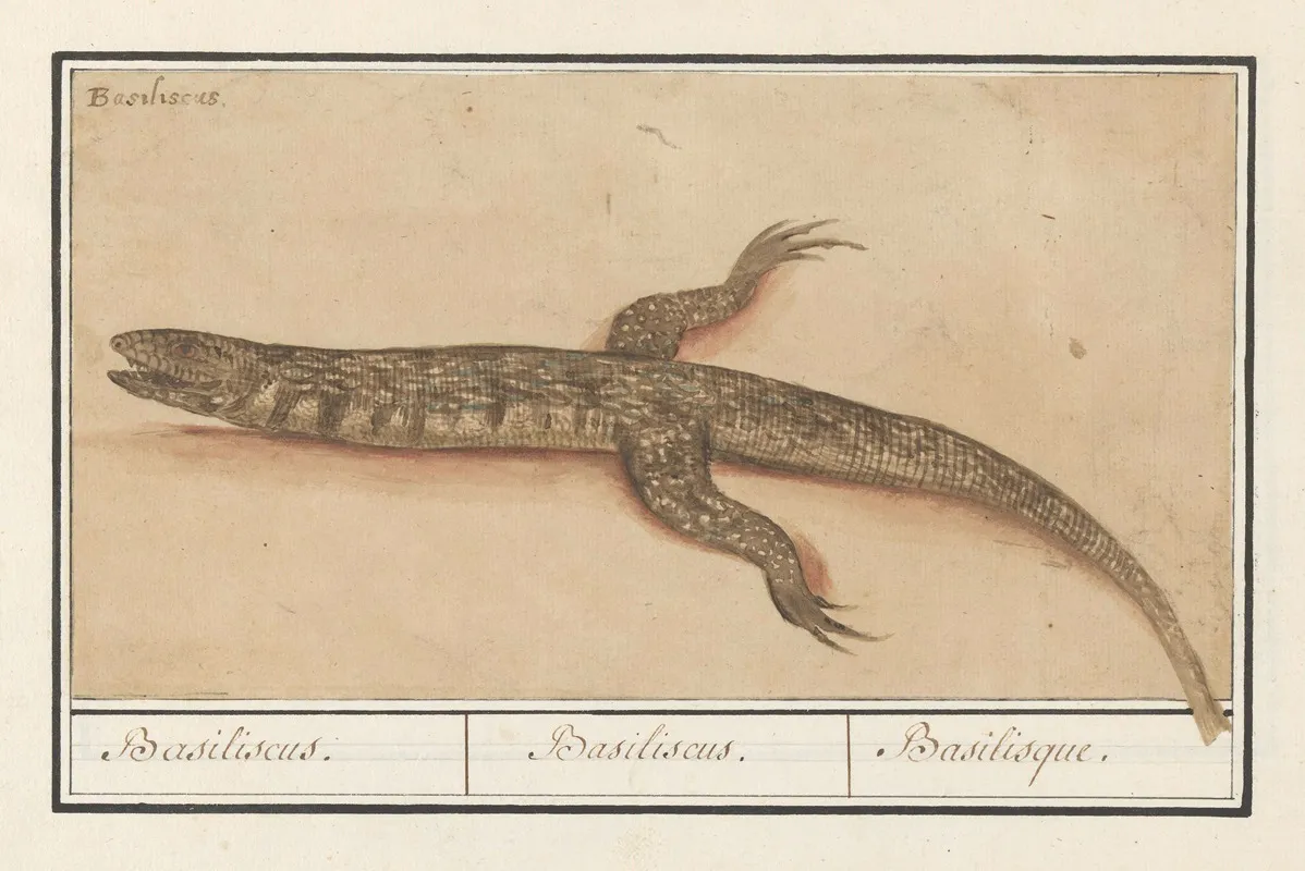 Basilisk Basilisk Basiliscus Basiliscus Basiliscus Basilisque Wall Art by Anselmus Boëtius de Boodt - High-Resolution Digital Print
