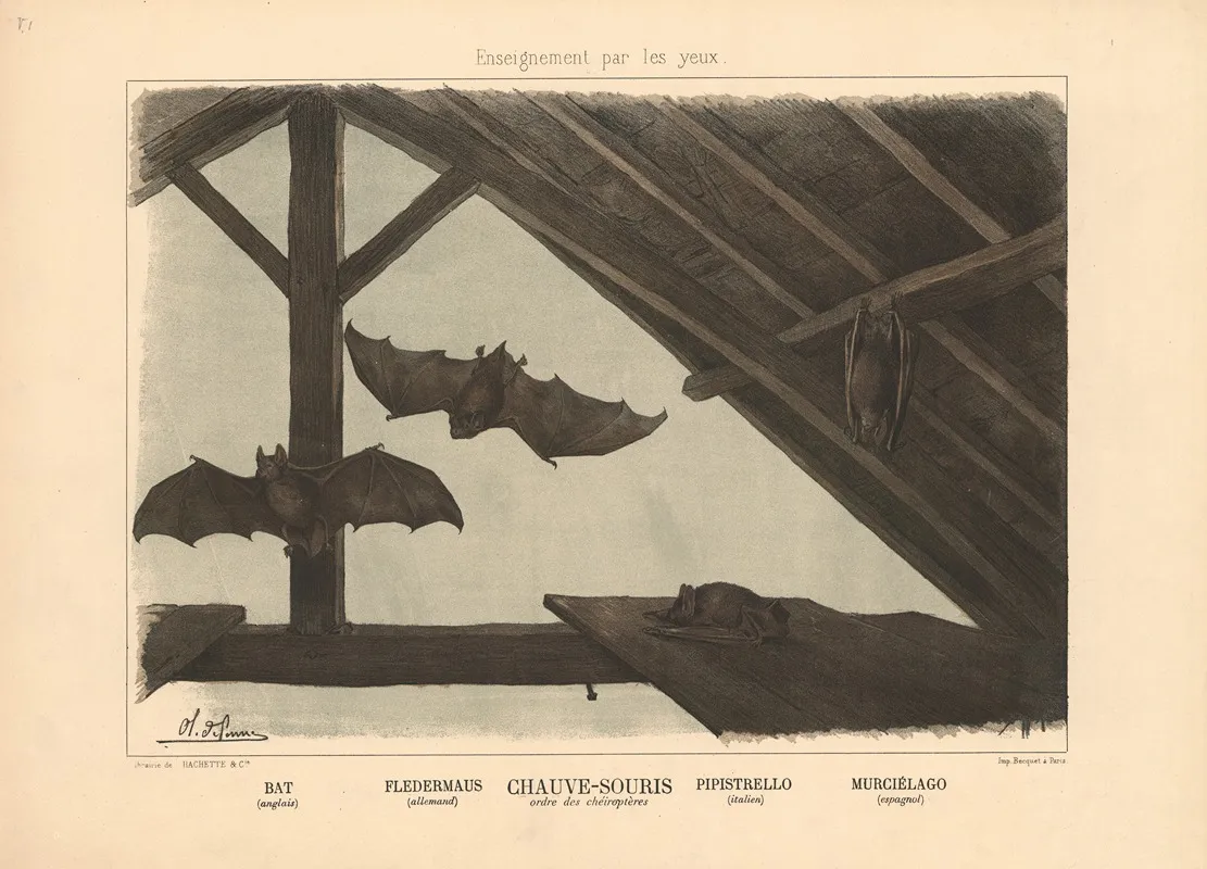 Bat 2