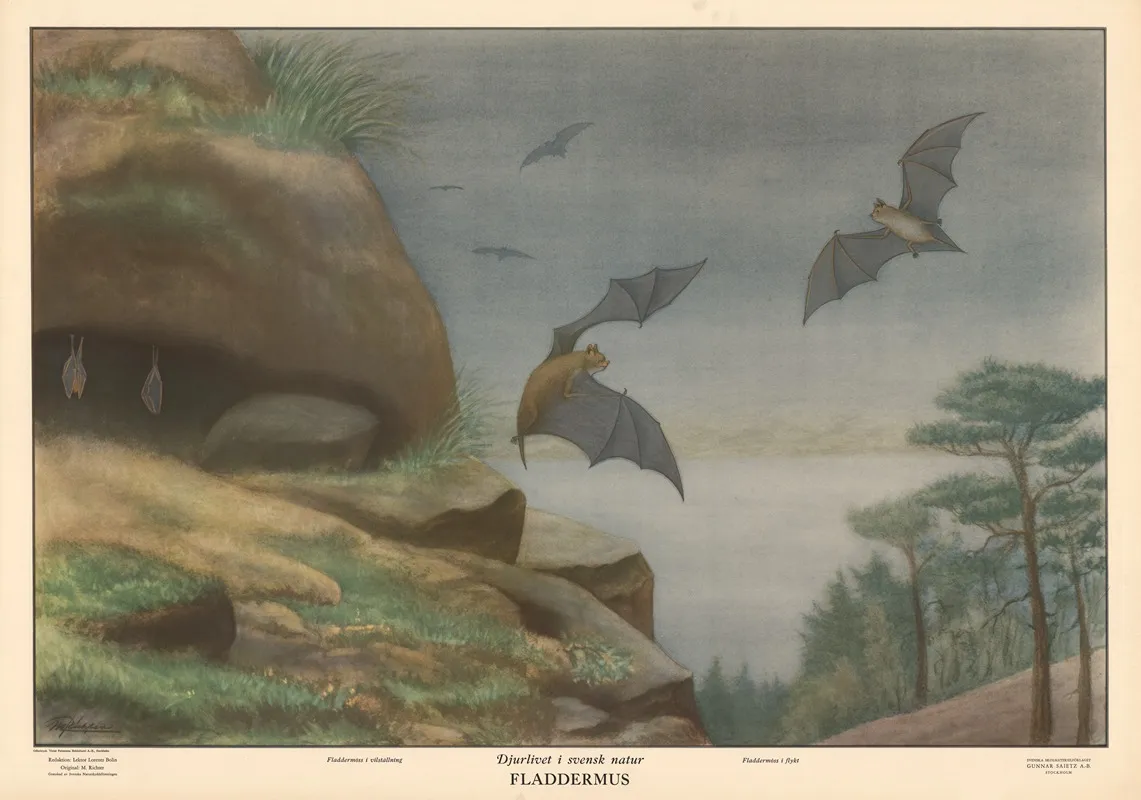 Bat 6 Wall Art by Max Richter - High-Resolution Digital Print