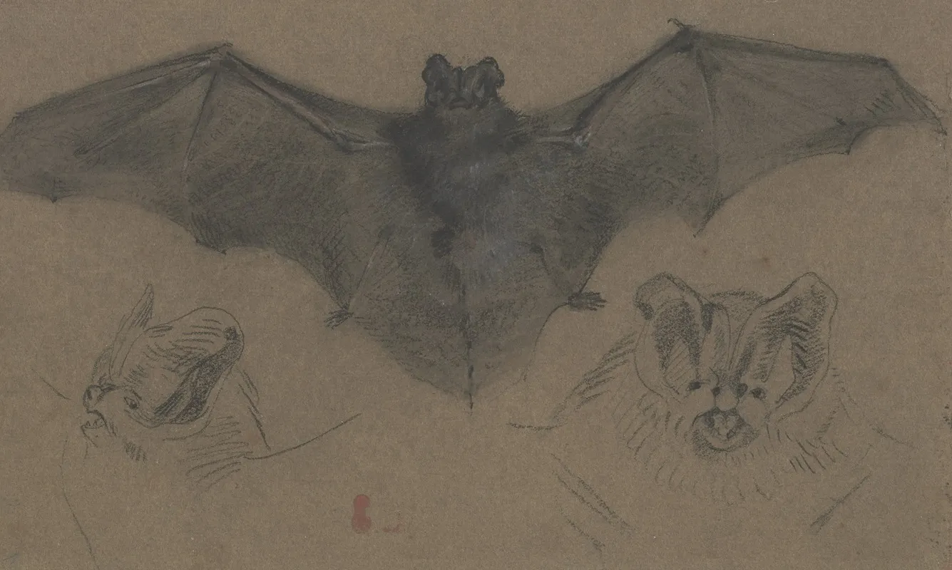 Bat