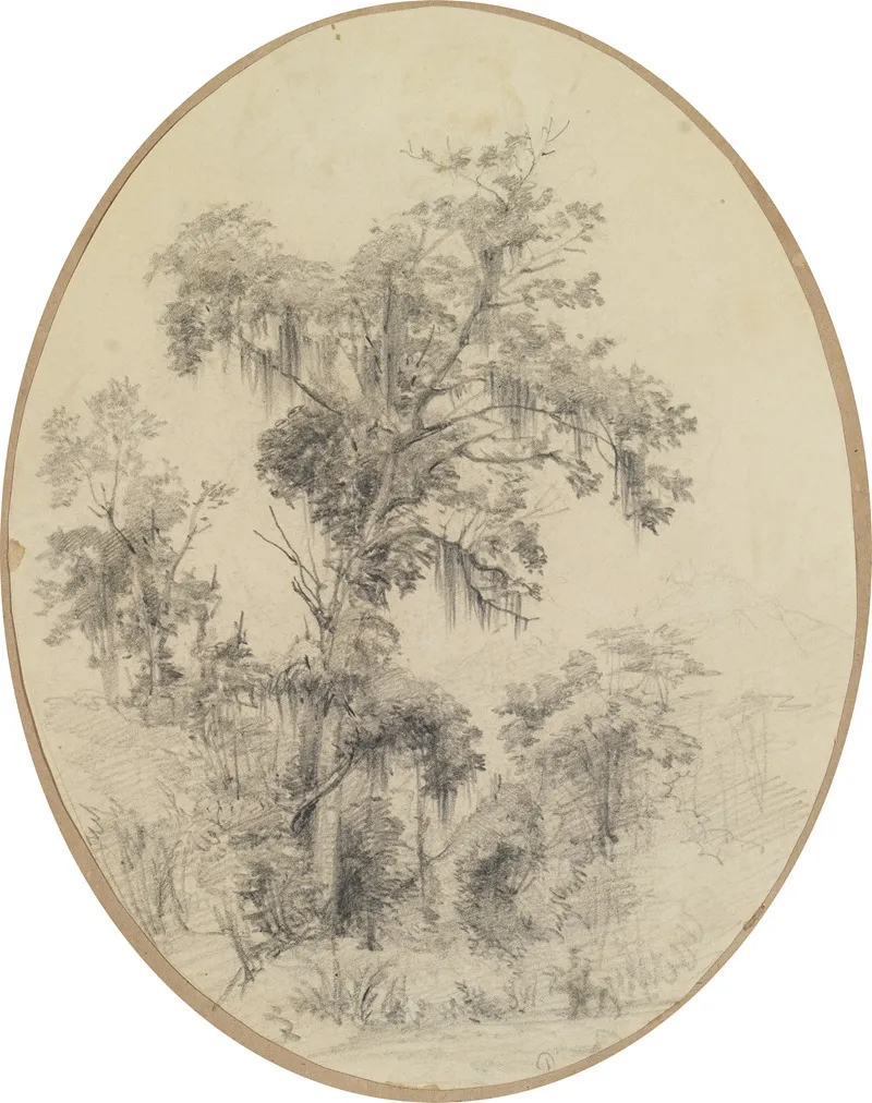 Baum Mit Herabhangenden Pflanzenfasern Wall Art by Ferdinand Keller - High-Resolution Digital Print