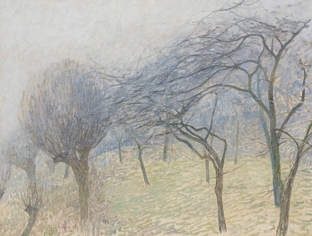 Baume Im Nebel