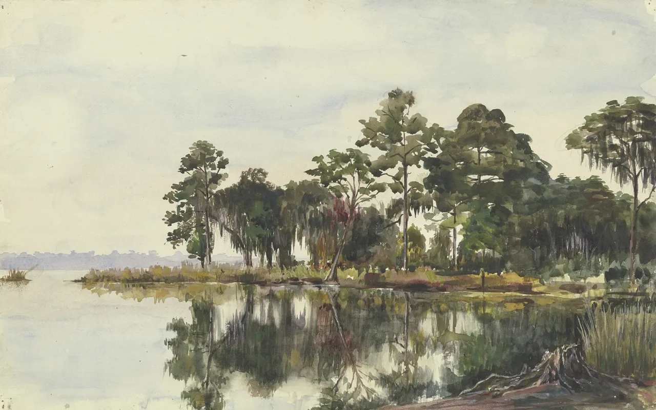 Baumschlag Am Wasser Jacksonville November 29 1904