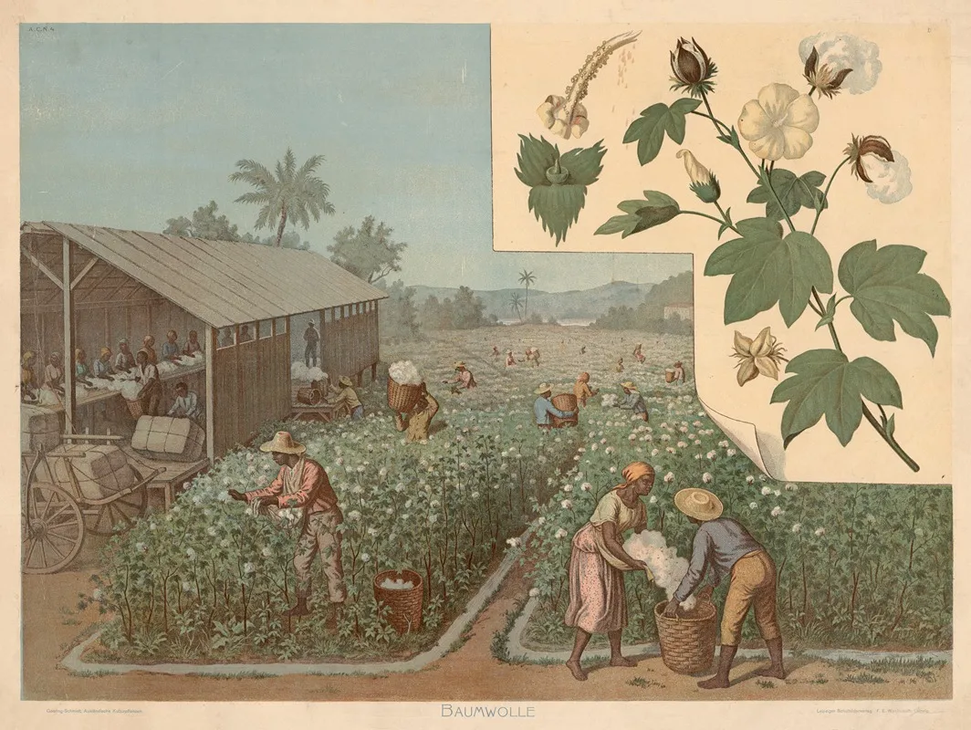 Baumwolle Wall Art by Goering-Schmidt - High-Resolution Digital Print