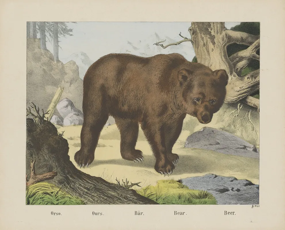 Bear 5 Wall Art by Joseph Scholz - High-Resolution Digital Print
