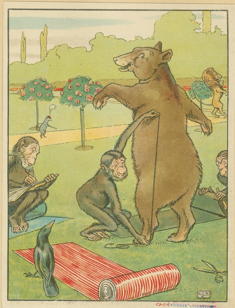 Bear Gets Measured