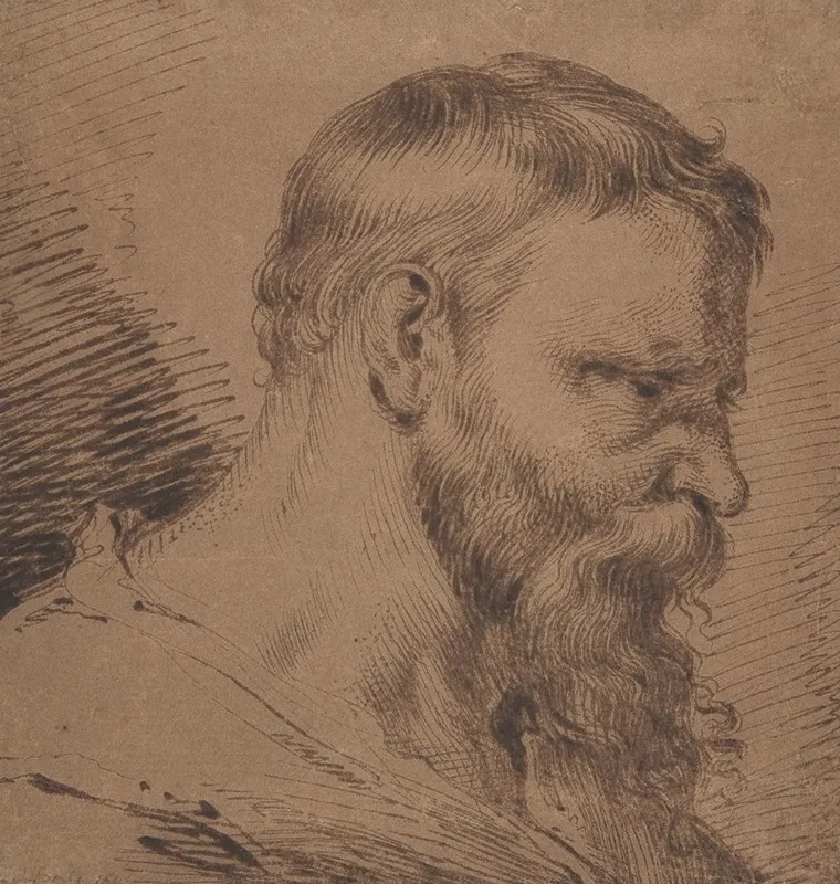 Bearded Head Looking Down To The Right Wall Art by Jacob de Gheyn III - High-Resolution Digital Print